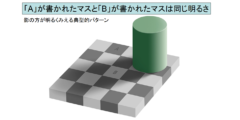 錯覚が起きているのは脳ではなく、目の「網膜」だと判明！