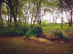 季節によって姿を変える。「生きた女神」が横たわる神秘的な庭園（イギリス）の画像 7/8