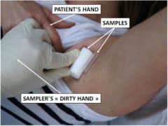 犬が新型コロナウイルスの陽性患者を見分けられるかもしれない!?の画像 3/6
