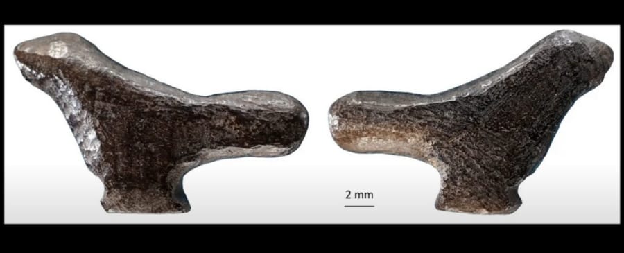 1万3400年前の”小鳥の像”が東アジアで「最古の彫刻芸術」と判明（中国）