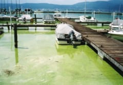 マヤ文明の都市は「水の汚れ」によって滅びたと判明する！　貯水池から猛毒の水銀を発見の画像 3/4