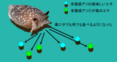 電脳ウミウシを薬物依存にするシミュレーションで、生物が”クスリ漬け”になる過程が明らかにの画像 7/8