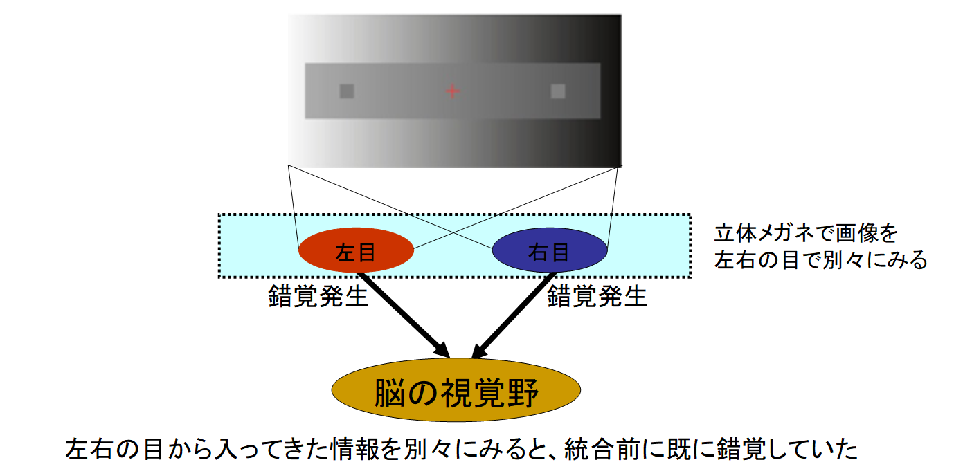 錯覚が起きているのは脳ではなく、目の「網膜」だと判明！の画像 5/7