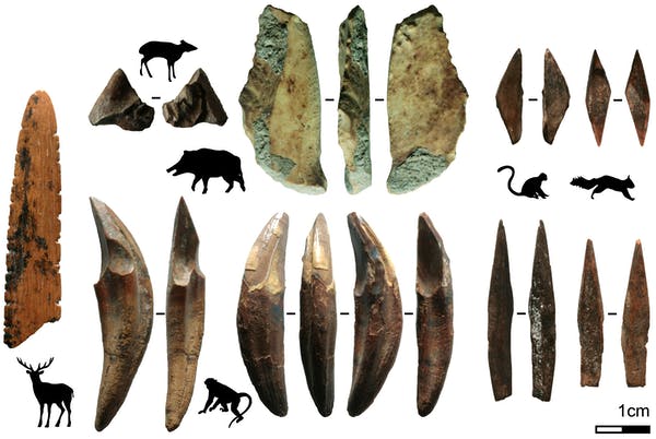 48,000年前の”ユーラシア大陸最古の弓矢”が発見される！