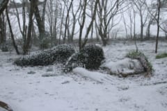 季節によって姿を変える。「生きた女神」が横たわる神秘的な庭園（イギリス）の画像 8/8