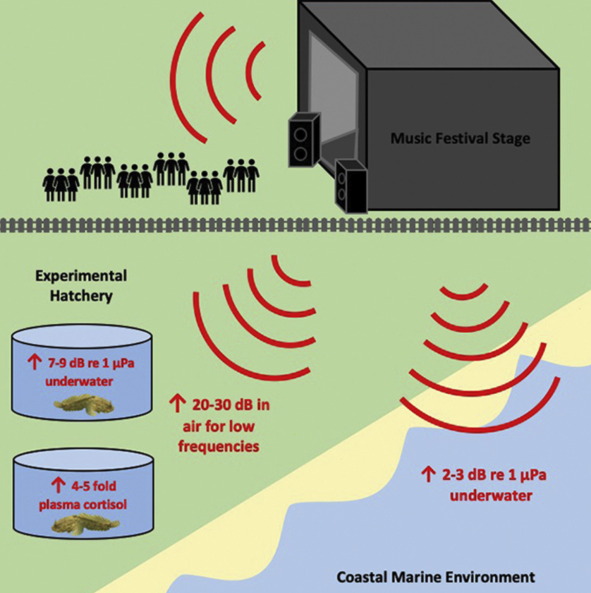 音楽フェスの騒音が「魚のストレスを急激に高める」と判明！　水中の騒音が魚の聴覚を狂わせる（アメリカ）の画像 4/4