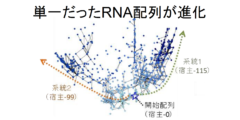 物質から生命の進化を可能にしたのは「寄生体」との共進化だったの画像 1/8