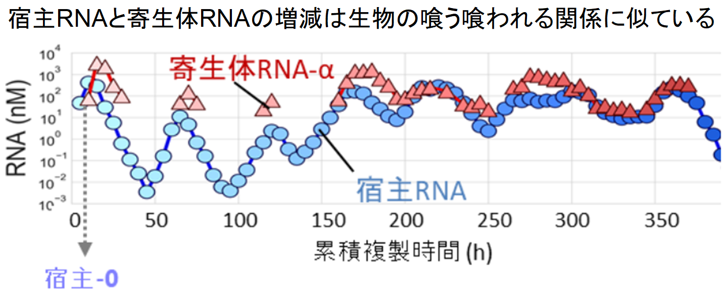 物質から生命の進化を可能にしたのは「寄生体」との共進化だったの画像 5/8