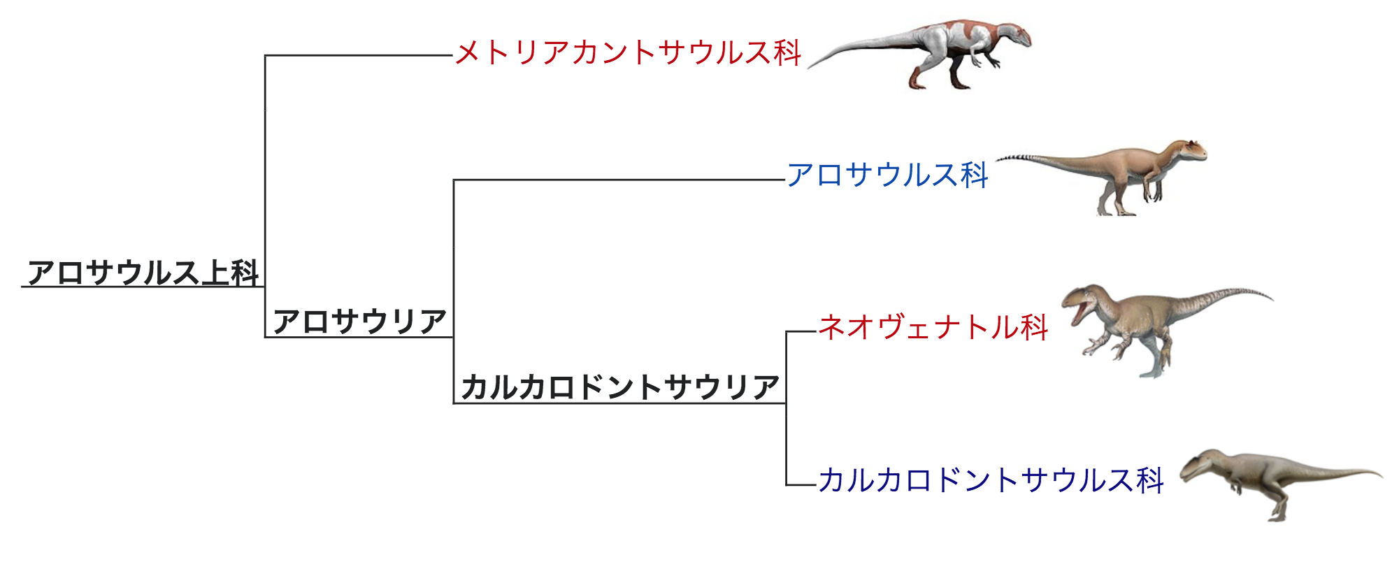 ポルトガルで「史上最強レベル」の新種恐竜を発見！”ルシタニアの狩人”の異名を持つの画像 3/5