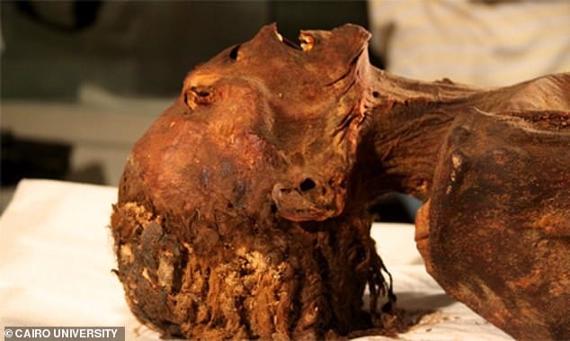 3000年前の「叫ぶ女のミイラ」の死因が判明！　CTスキャンにより死の直前の様子が明らかにの画像