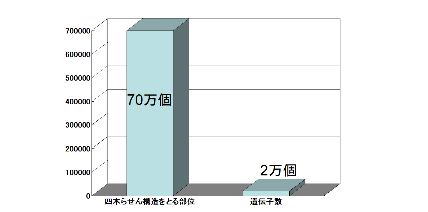 健康なヒト細胞の中で「四重らせん構造のDNA」を初めて確認！　四本鎖DNAのはたらきとは？の画像 5/5