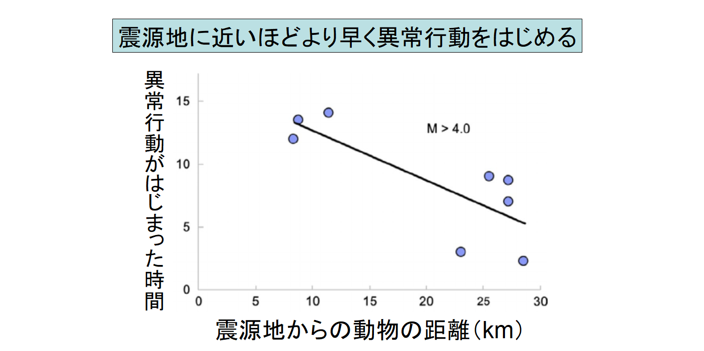 動物の第六感を使った「地震予知」に初成功！　科学がオカルトを証明するの画像 3/5