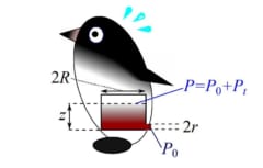 【笑撃】ペンギンが「糞を噴射するときの軌道」を物理学的に計算!?　イグノーベル賞研究を日本人が発展させるの画像 1/2