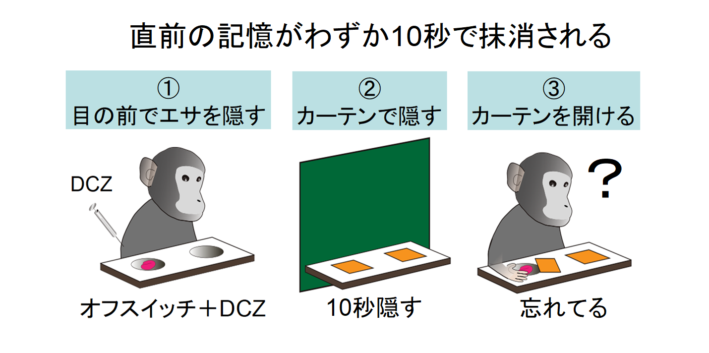 脳のスイッチをオフにして「記憶を削除する薬」が開発される