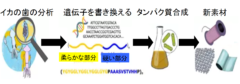 イカのタンパク質から傷を1秒で”自己修復する新素材”が開発される。の画像 5/5