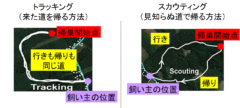 犬は「地磁気」を感知して家に帰ることができると判明の画像 2/2