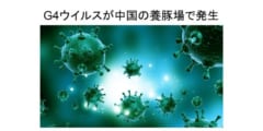 新型の豚インフルエンザウイルス（G4ウイルス）が中国の養豚場で発生した