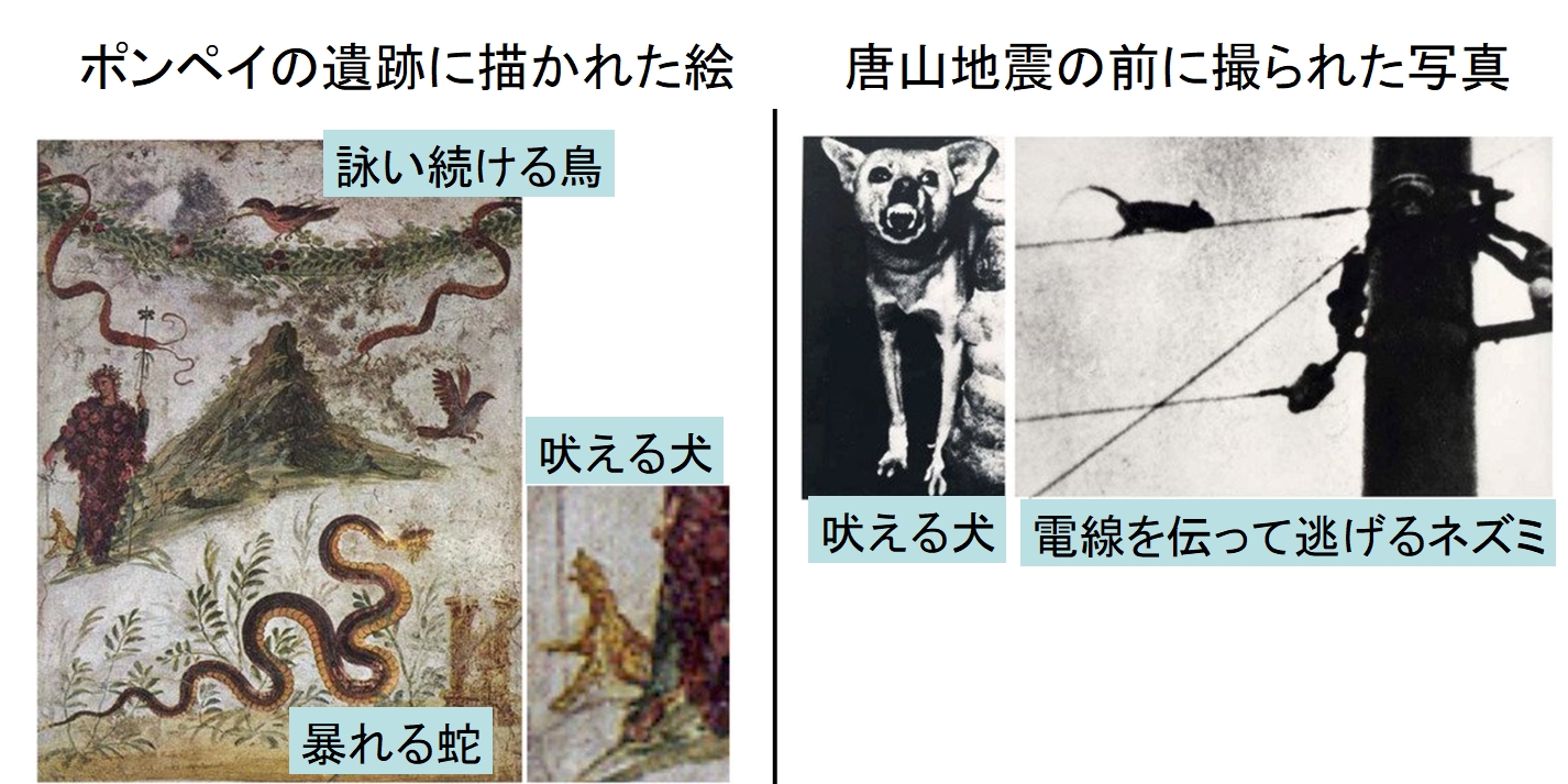 動物の第六感を使った「地震予知」に初成功！　科学がオカルトを証明するの画像 1/5