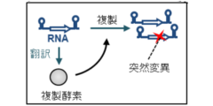 物質から生命の進化を可能にしたのは「寄生体」との共進化だったの画像 3/8