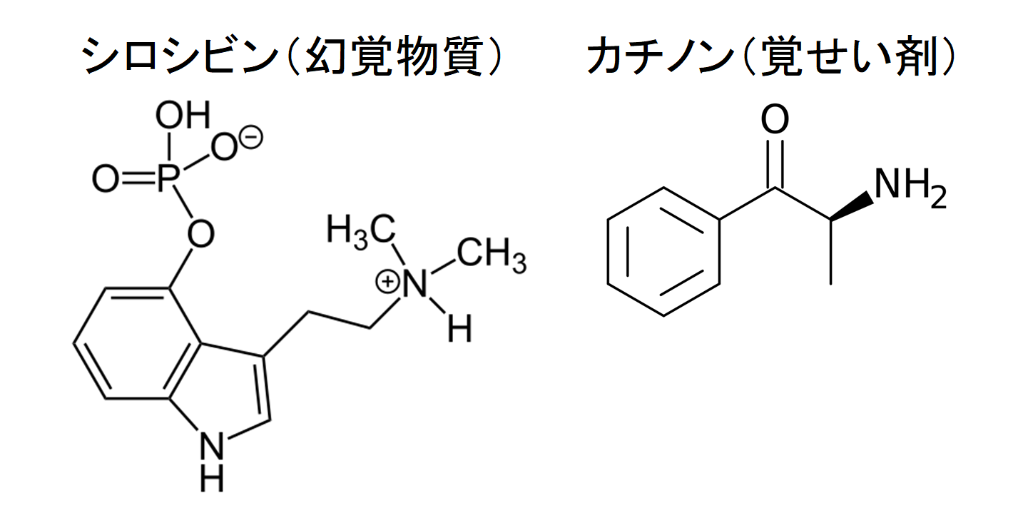 セミに寄生し、性行為でパートナーを次々にゾンビ化させる菌が怖い。の画像 5/6