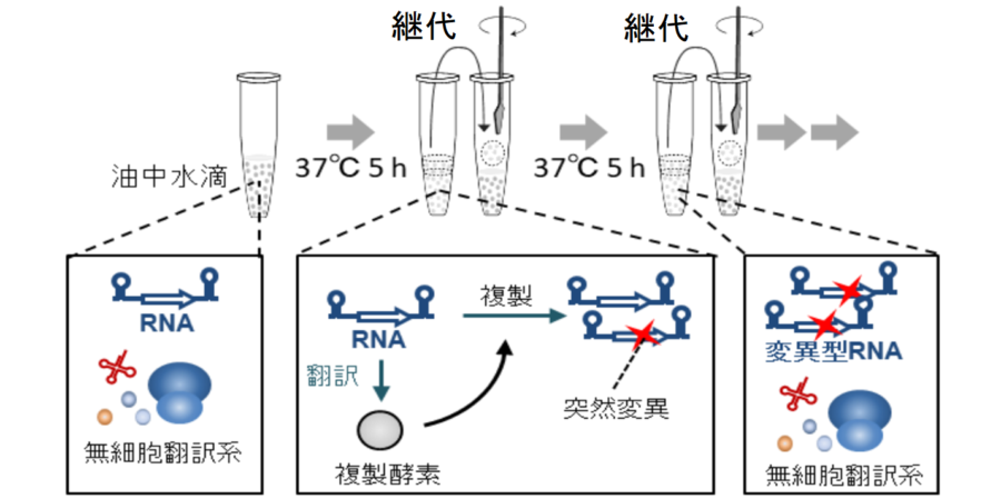 物質から生命の進化を可能にしたのは「寄生体」との共進化だった