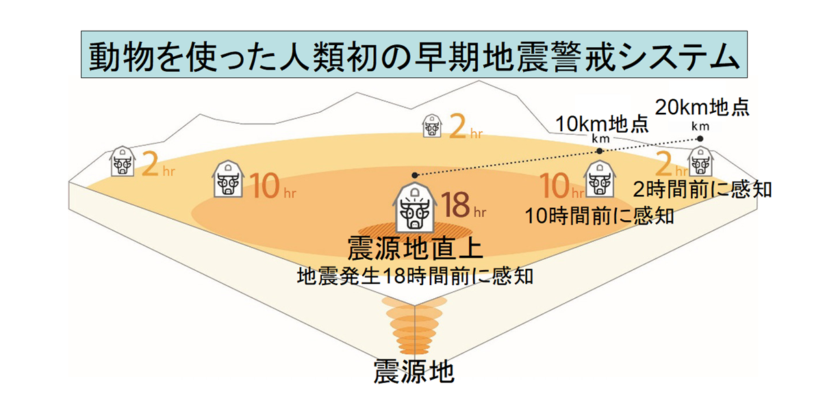 【中古】 ネムの木は地震を予知する 大地震を二日まえにキャッチする「生物センサー」の不/ごま書房新社/鳥山英雄 2032638298.jpg?1695085983