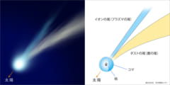 「今月の星の見どころ」特別版：ネオワイズ彗星が肉眼で見える!?　今から7月いっぱい要チェックの画像 6/7