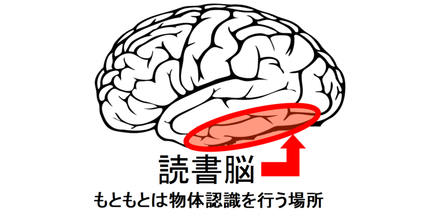 読書を可能にする「読書脳」の存在が確認される。読み書きの基本コードを解明！