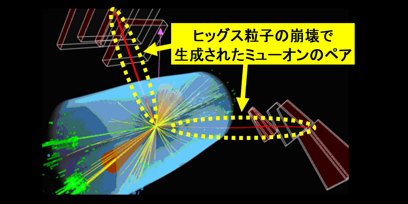 質量を与える素粒子「ヒッグス粒子」の崩壊により、電荷を持つ「ミューオン」の生成を初観測！の画像 1/4