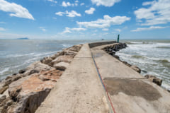 海の「磯臭さ」はどこからくるの？　原因となる細菌は海流に影響されていたの画像 1/4