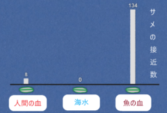 人喰いザメは実在する？「魚の血と人の血」どっちにサメが集まるのか実験してみたの画像 4/5