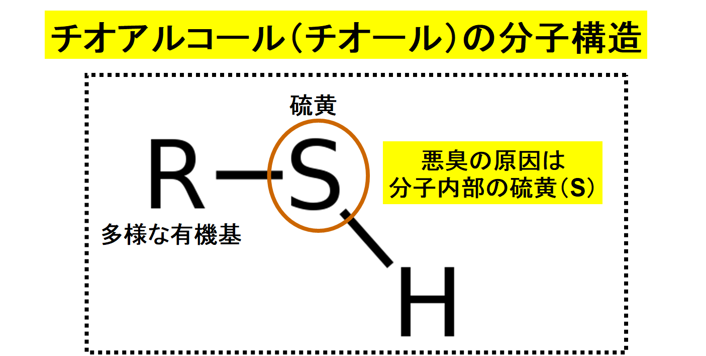 ワキガ臭がするのは1種類の「汗を食べる細菌」のせいだと判明！効果的な制汗剤が作られる？の画像 2/5