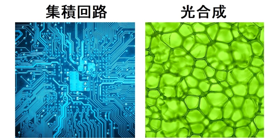 水と空気と光だけで有機燃料を製造できる「人工光合成」パネルが開発される。集積回路がギ酸を生成!?