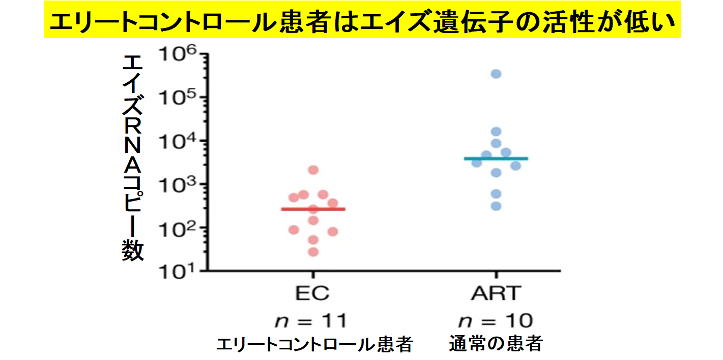 エイズを「自然治癒」させた超免疫持ちの人間が発見されるの画像 3/5