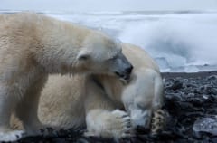 謎に包まれていた、地球最後の氷期の平均気温が明らかに！の画像 3/3