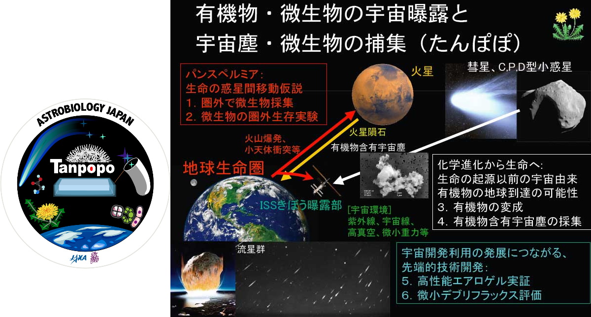 宇宙に3年もさらした微生物の生存を確認！生命は宇宙から来たとする「パンスペルミア説」の証拠となるかの画像 4/5