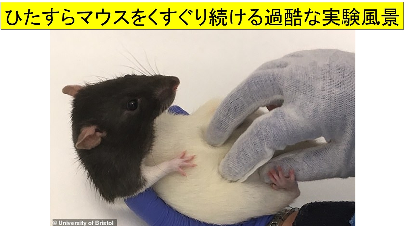 くすぐられて笑うマウス