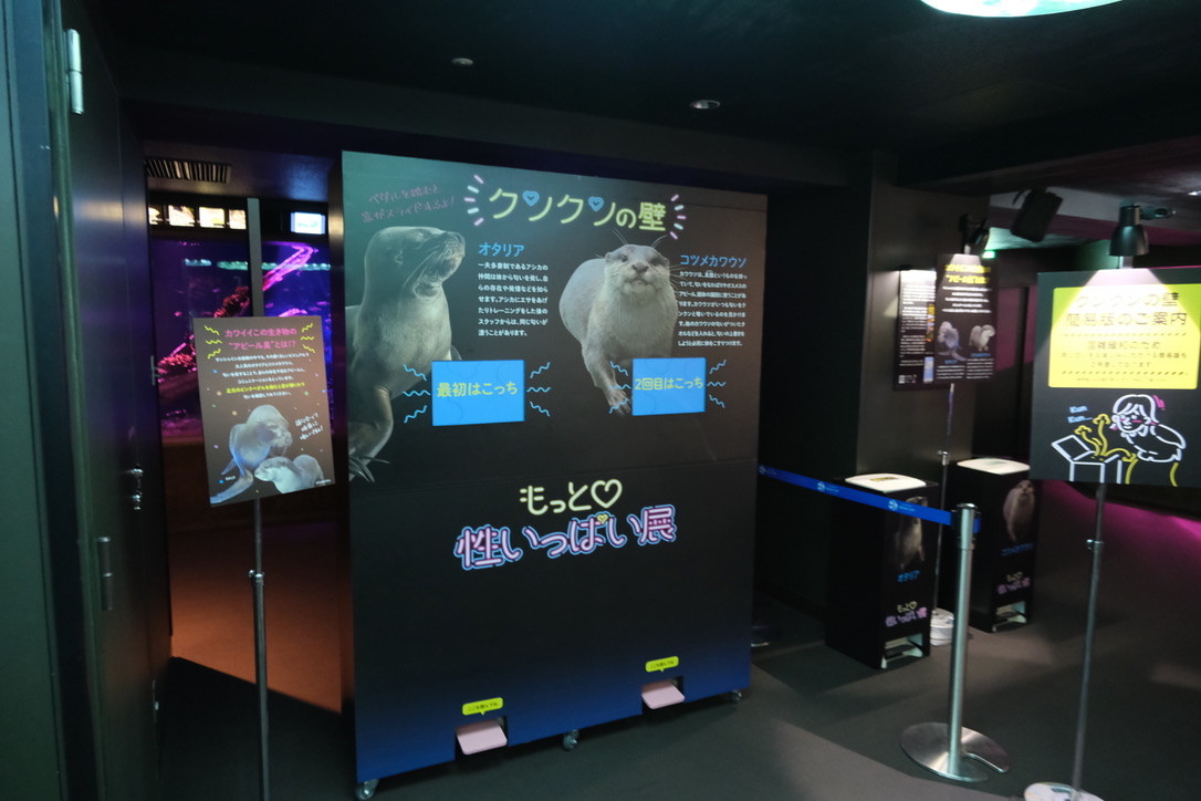 夜のサンシャイン水族館「もっと性いっぱい展」に行ってきました。真っピンク空間にドキドキ…の画像 15/21