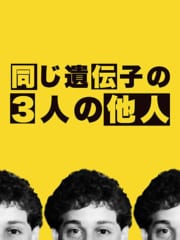 生き別れた「三つ子の兄弟」、感動の再会に隠された残酷な真実とはの画像 10/11