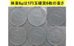 ペルーのハチドリは毎晩「ミニ冬眠をして体温を3℃まで下げる」と判明！驚愕の省エネルギー術の画像 2/4