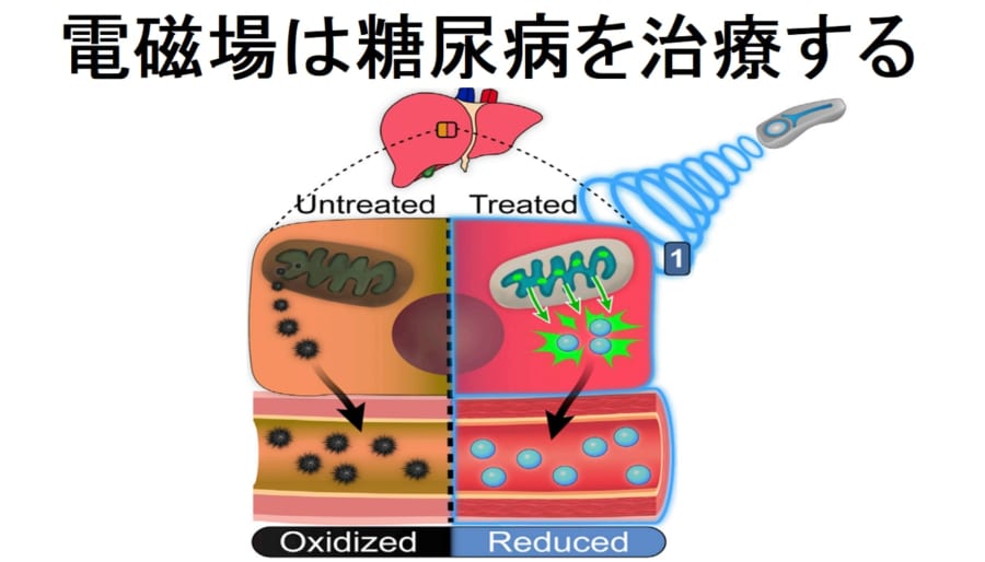 偶然の発見！電磁場にさらされると血糖値が正常化するという研究