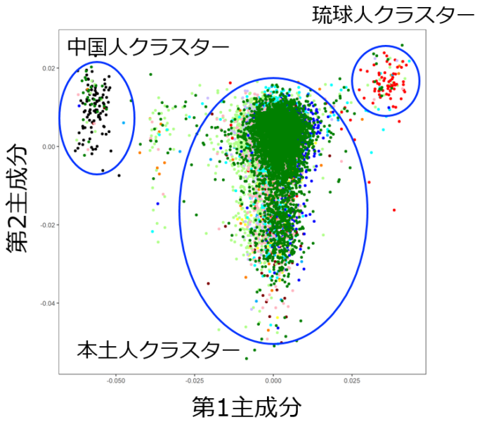 遺伝子クラスターは大きく3つに分けられる