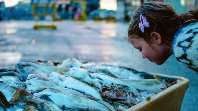 魚の生臭さが気にならない人は、”食生活によって遺伝子が突然変異している”かも