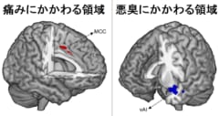 人間の精神は5感と強く結びついている