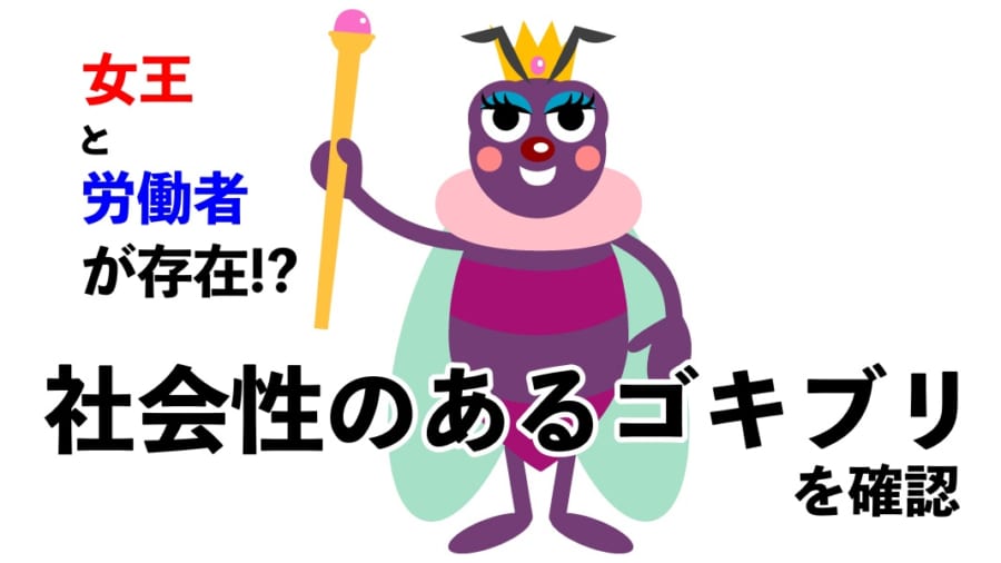 唯一の「社会性のあるゴキブリ」種が確認される（※ムシ注意）