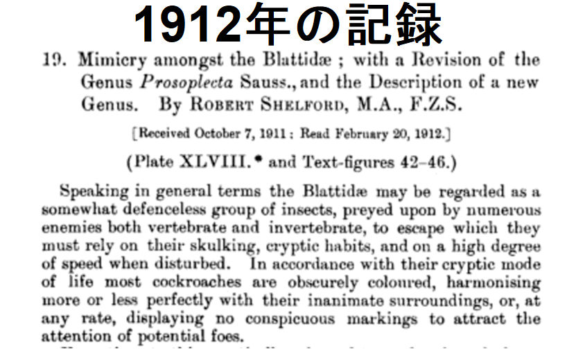 100年以上前に社会性ゴキブリの存在を記録した論文の冒頭