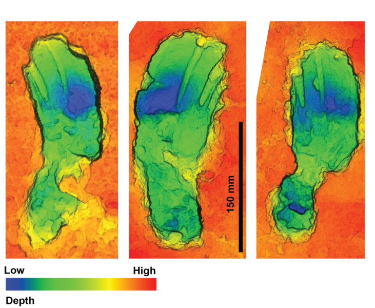 足跡の3Dスキャン画像。片側に荷重がかかっていたような独特の湾曲形状と跡の深さが見られる。これは子供を抱えていたためと考えられる。