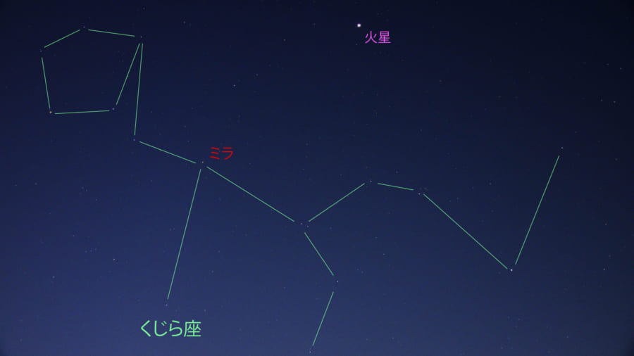 【速報】いま、くじら座の変光星、ミラが見えるぞ！