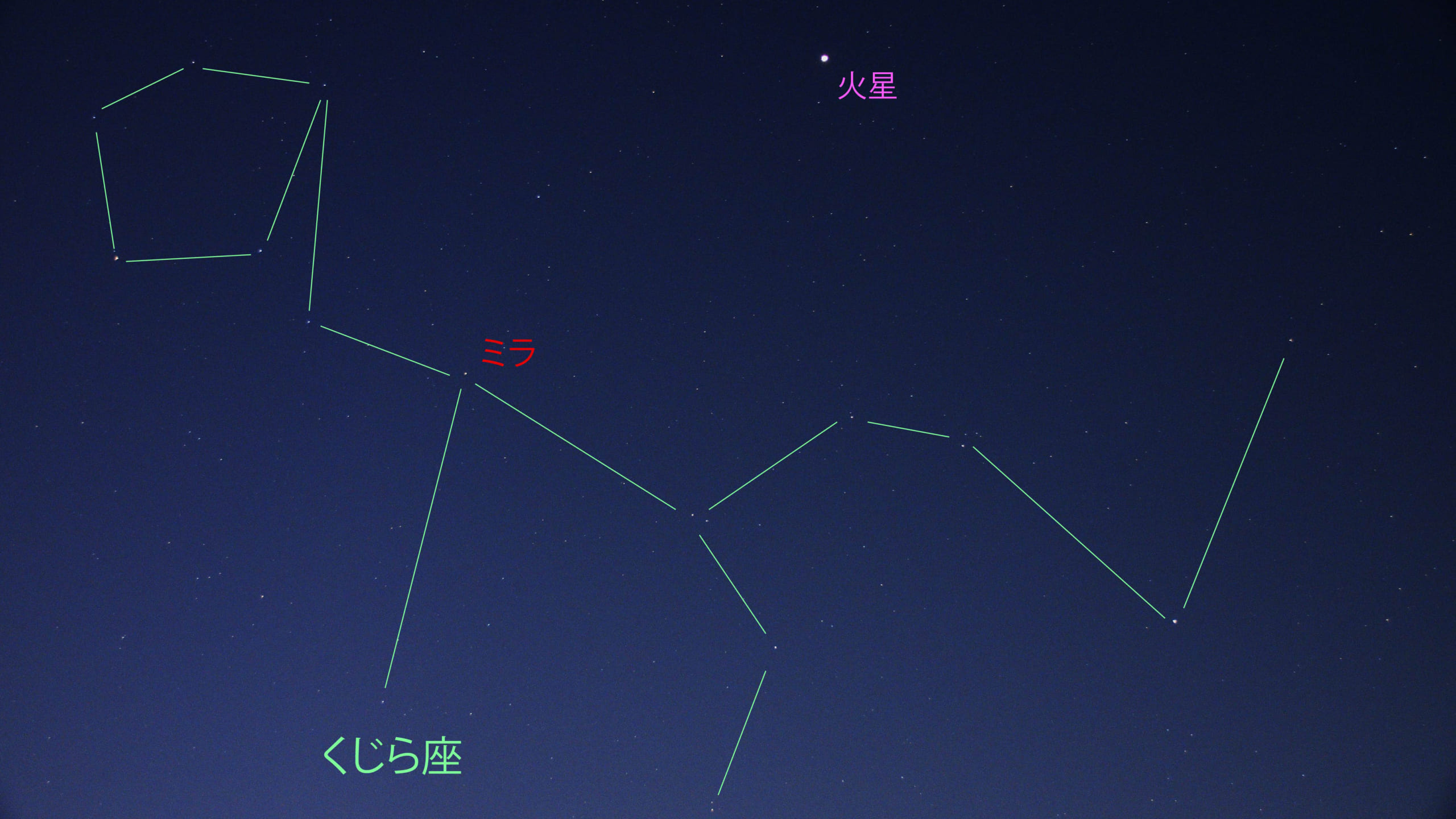 【速報】いま、くじら座の変光星、ミラが見えるぞ！の画像 1/4