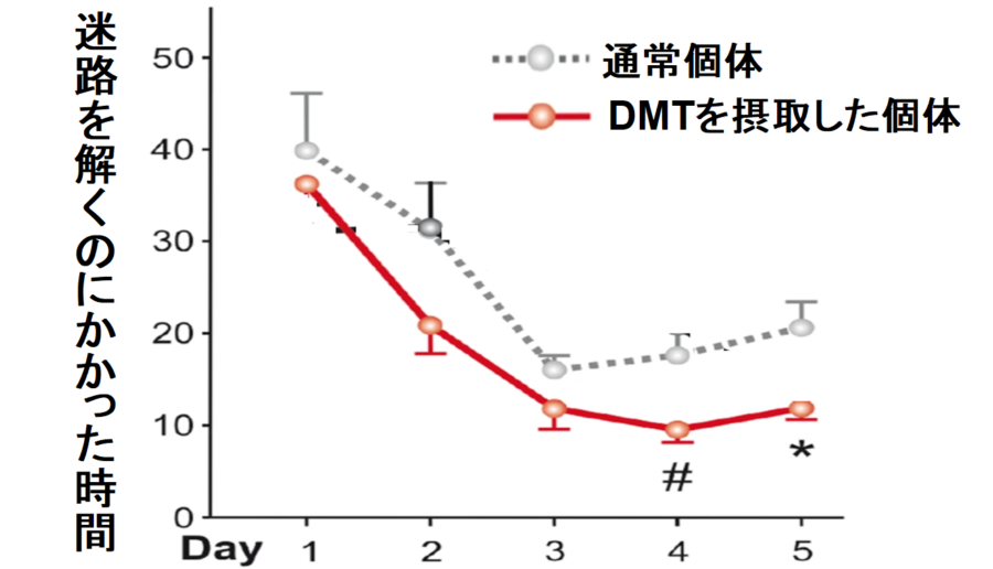 DMTを摂取した個体のほうが迷路を早く攻略する